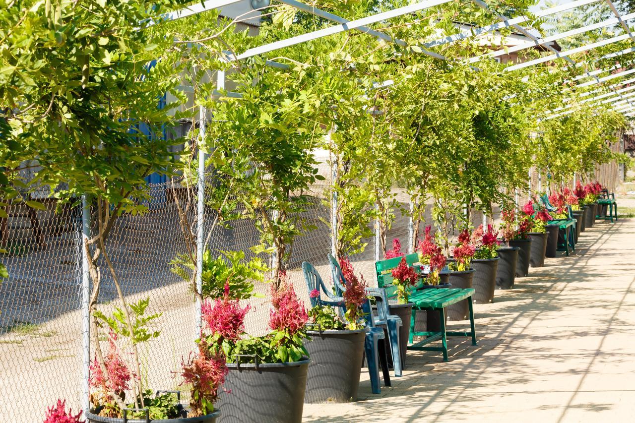 Ymy Hotels Тыргу-Жиу Экстерьер фото